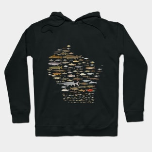 Fishes of Wisconsin Hoodie